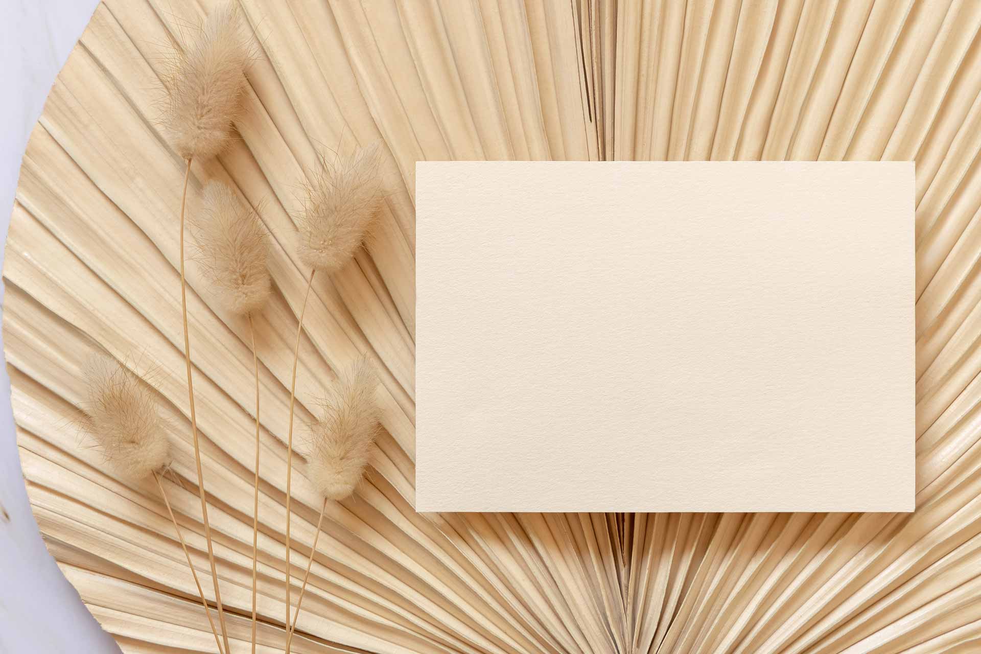 eco-friendly-invitation